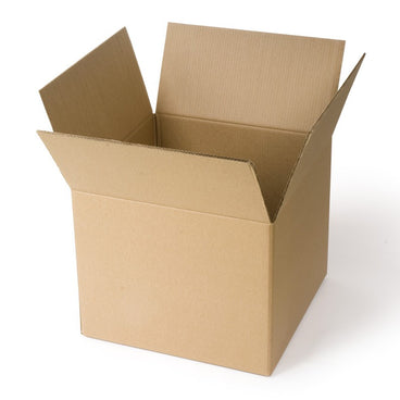 CARTON VACIO CHICO 1 PZA