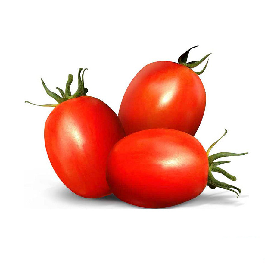 TOMATE 1 KG