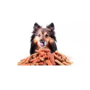 PREMIO PARA PERRO GALLETA 250 GR