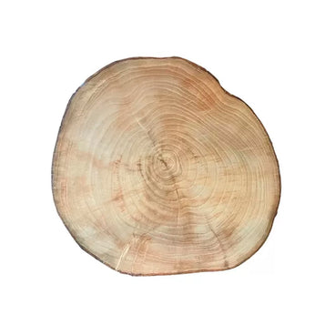 TRONCO TAQUERO MADERA MEDIANO 1 PZA