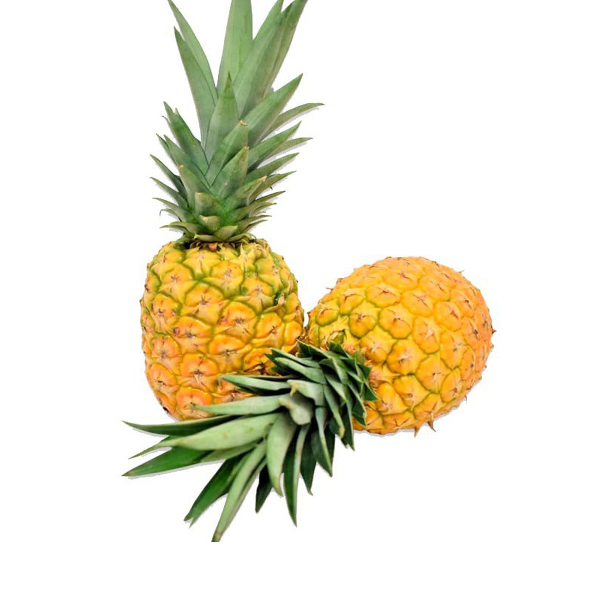 PIÑA MIEL 1.5 KG APROX. – El Mexicano en línea