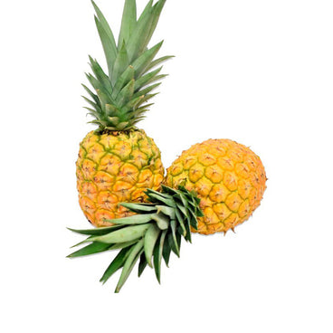 PIÑA MIEL 1.5  KG APROX.