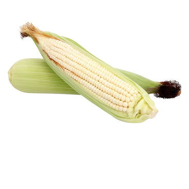 ELOTE 1 PZA.