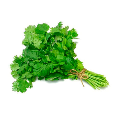 CILANTRO VERDE 1/2 MAZO