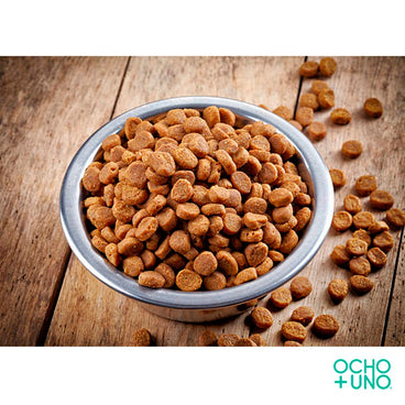 DOG CHOW ADULTO 1 KG