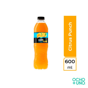 B JUGO VALLE FRUT 600 ML